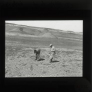 Böhl glass slide 12./232